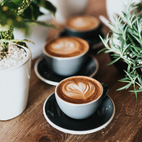 cafe-template-gallery-img-2 cafe template gallery img 2