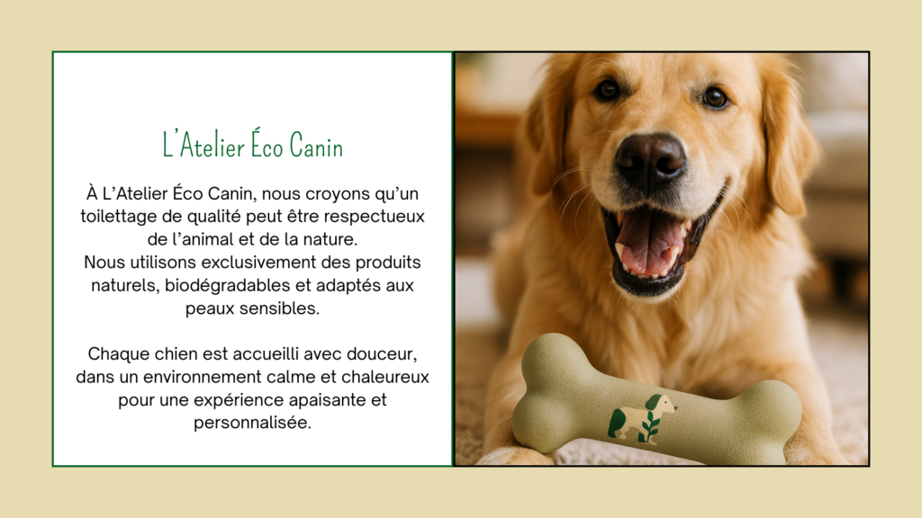 l’atelier canin & co 6